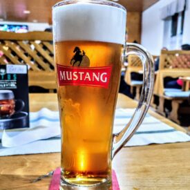 Sklenice piva Mustang